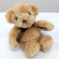 20cm Teddy