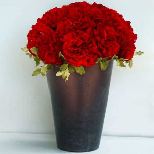 Order Red Carnations Online