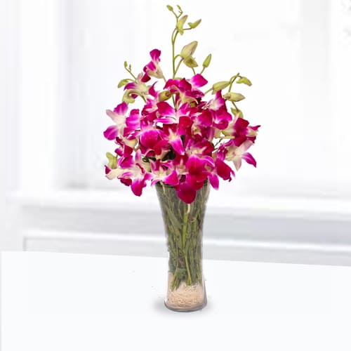 Blossoming Orchids In A Vase-Flowers To Give On Birthday