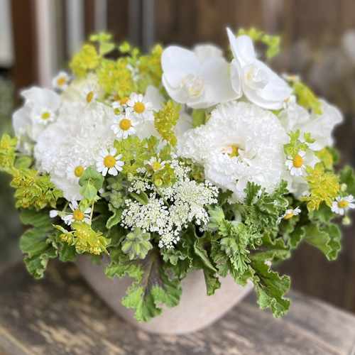 White Floral Arrangement