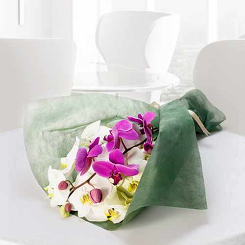 Orchid Bridal Bouquet-Send Flowers For Loss