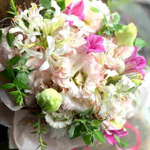 - Pink And White Lily Arrangement