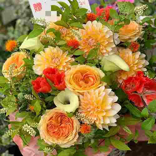 - Xmas Flowers For Delivery