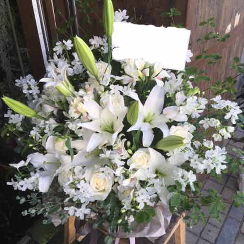 Exotic Lily Arrangements Online