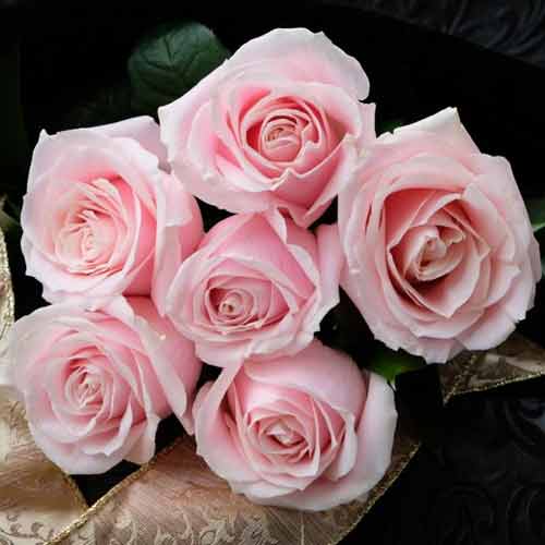6 Pink Rose Bouquet-Anniversary Flowers For Her Send