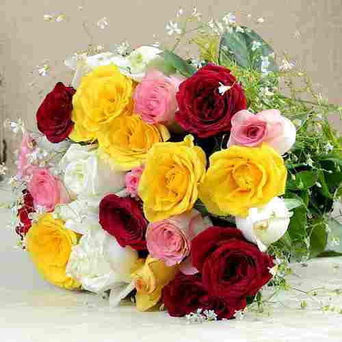 24 Multi Color Rose Bouquet-Multi Color Roses For Valentines Day