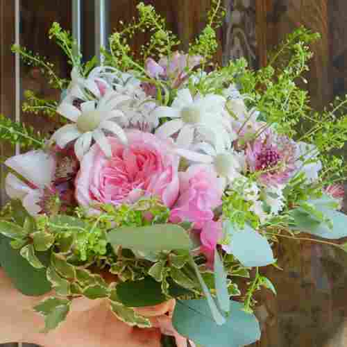 Tanami Beauty-Best Flowers For Her Birthday