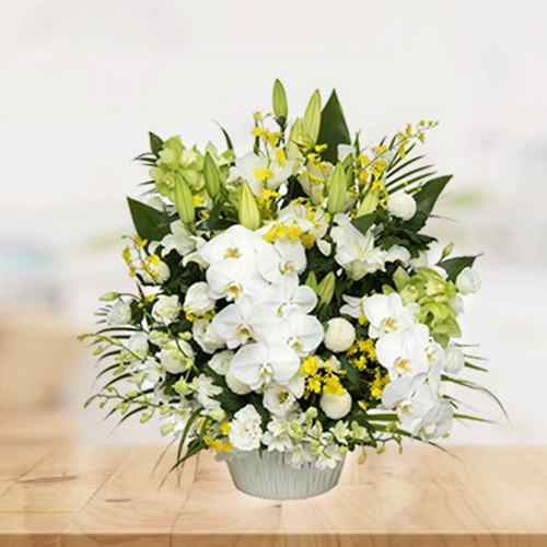 Sky White Collection-Anniversary Flowers For Parents
