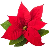 Christmas Flower