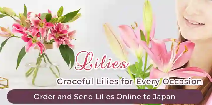 Order and Send Lilies Online to Japan