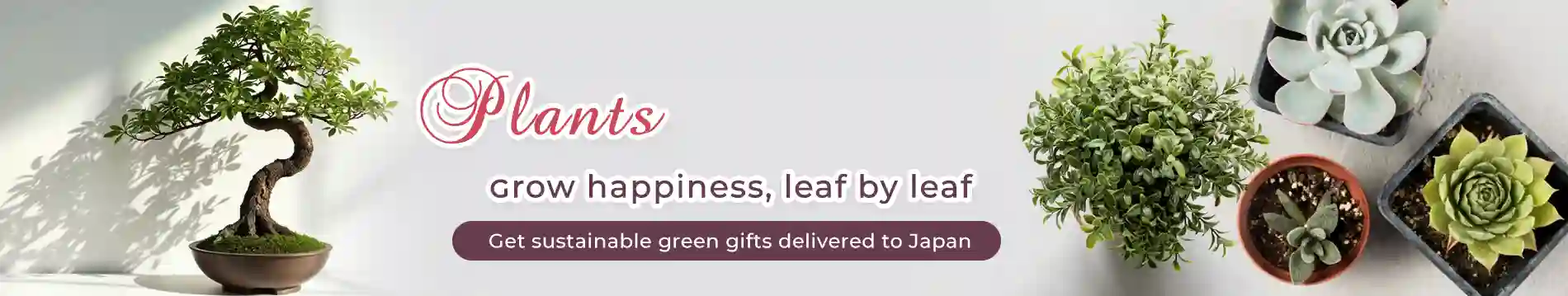 Order Indoor Plants to Japan